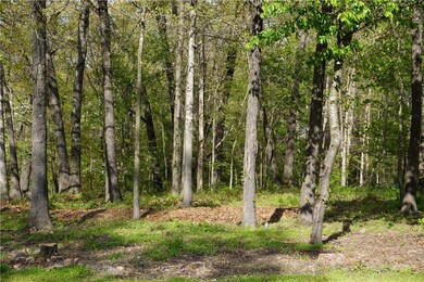 0 Yarmouth Dr, Bella Vista, AR 72715 - photo 3