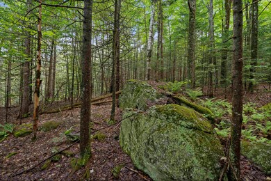 11 Old County Rd E, Londonderry, VT 05148 - photo 6