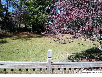 Wonderful back yard for all the family members to 