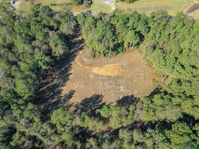 TBD N Fm 161, Hughes Springs, TX 75656 - photo 2