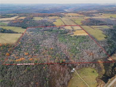 3444 County Route 2, Rathbone, NY 14801 - photo 4