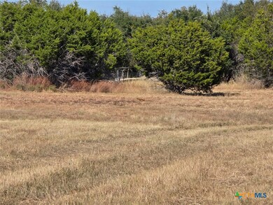 TBD Avila Ln, Briggs, TX 78608 - photo 2