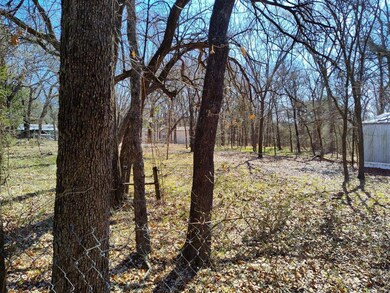 110 Family Acres Dr, Pottsboro, TX 75076 - photo 2