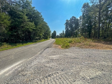 0 Richard Dorning Rd unit Lot001 24538016, Kimmins, TN 38462 - photo 5
