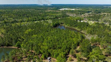 0 Highway 82, Sylvester, GA 31791 - photo 5