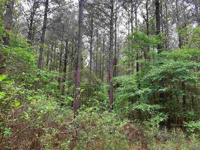 0 Palm Hill Rd unit 1340275, Brandon, MS 39042 - photo 2