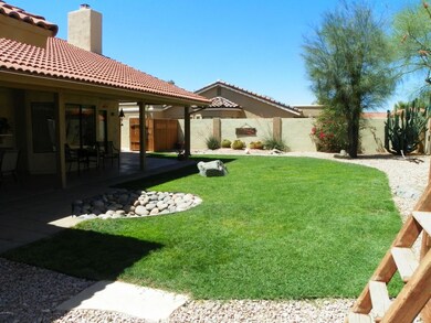backyard nice