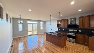 3236 S Stewart Ave, Chicago, IL 60616 - photo 4