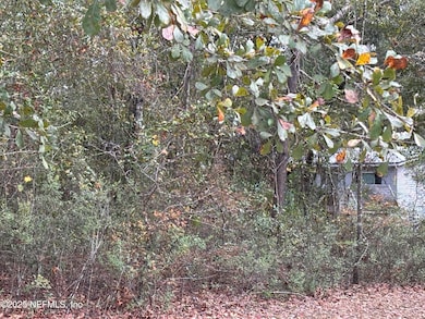 4667 Peppergrass St, Middleburg, FL 32068 - photo 3