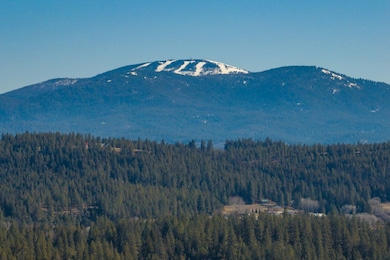 31910 N Zander Ln, Chattaroy, WA 99003 - photo 4