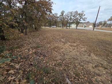 TBD Jim Walter Dr, Runaway Bay, TX 76426 - photo 6