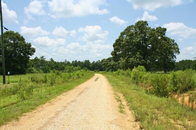 Lot 59 Sundance Ln, Franklinton, LA 70438 - photo 4