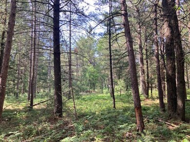 4825 W 8th St, Baldwin, MI 49304 - photo 7