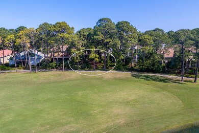 20170406211712814021000000-o