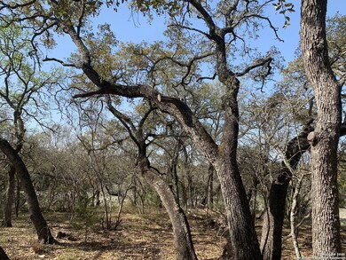 601 County Road 241, Hondo, TX 78861 - photo 4