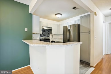 11719 Summerchase Cir unit 1719-E, Reston, VA 20194 - photo 5