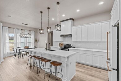 443 Sarra Ln, Poolville, TX 76487 - photo 5