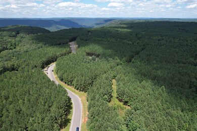 4-web-or-mls-DJI_0302