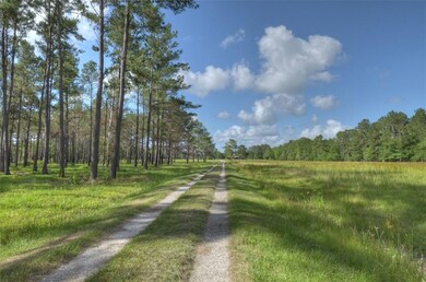 Pastures are established with Bahia grass which pr