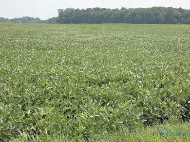 0 County Road 17 unit 6107082, Wauseon, OH 43567 - photo 2