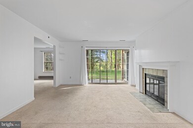 21 Rainflower Path unit 103, Sparks Glencoe, MD 21152 - photo 6