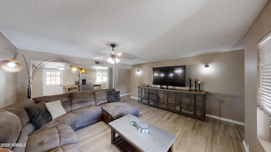Living-Room 2