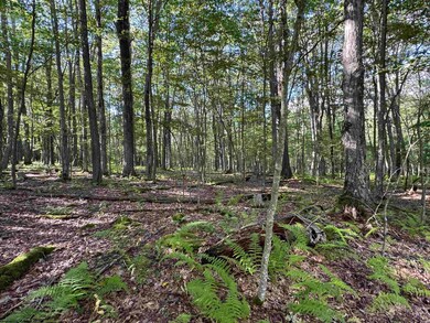 Lots 41 and 42 Daylily Ct, Terra Alta, WV 26764 - photo 7