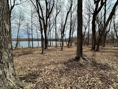 xxx Honeysuckle Ln SW, Kensington, MN 56343 - photo 3