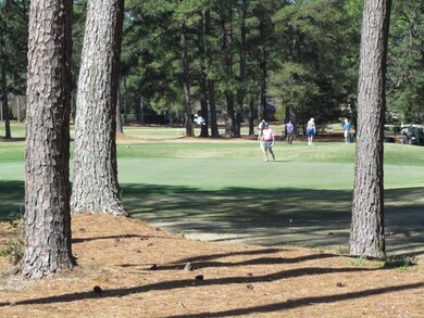 Golf View