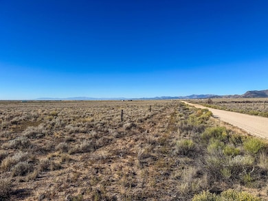 56501 Ewing Rd, Moffat, CO 81143 - photo 4