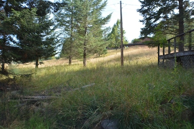 734 Swan River Rd, Bigfork, MT 59911 - photo 5