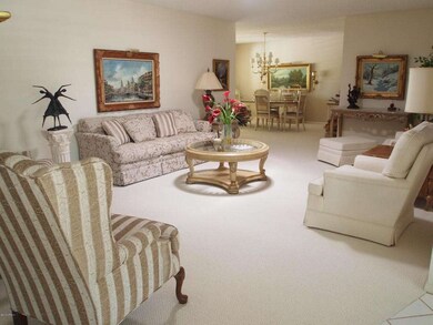 9802 W Lindgren Ave, Sun City, AZ 85373 - photo 6