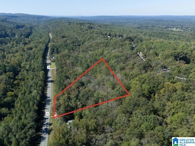 15874 County Highway 26, Blountsville, AL 35031 - photo 2