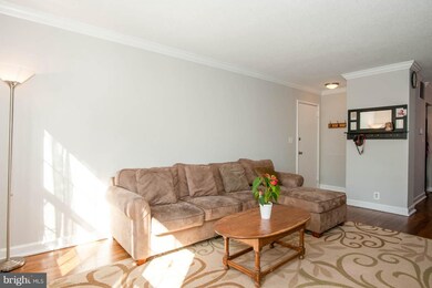 4437 36th St S unit A2, Arlington, VA 22206 - photo 2