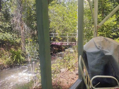 21613 2300 Rd, Cedaredge, CO 81413 - photo 3