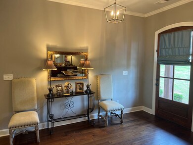 303 Lakes Dr N, Oxford, MS 38655 - photo 5