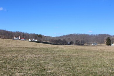 8047 Webster Rd (Rader Family Farm) unit 8047, Summersville, WV 26651 - photo 3
