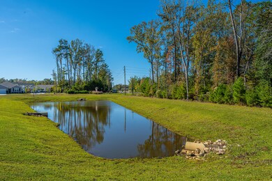 9826 Sickle Dr, Ladson, SC 29456 - photo 7