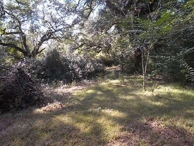 DSCN0731