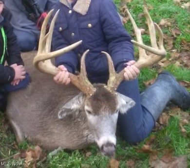 0 Township Road 1239, Washington Township, OH 43821 - photo 4