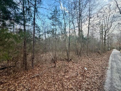 lot5.1
