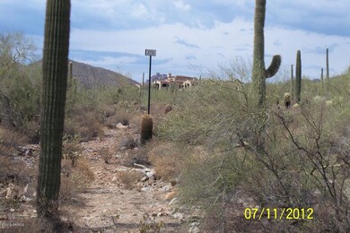 Lot Pic 2