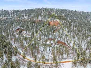 3520 Higgins Gulch Rd, Spearfish, SD 57783 - photo 6