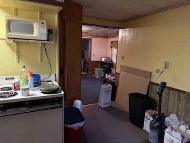 425 E Chicago St, Jonesville, MI 49250 - photo 4