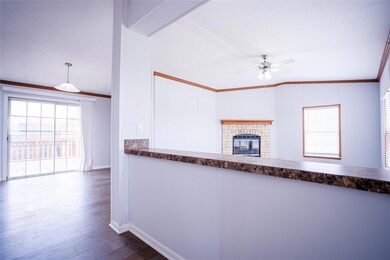 100 Salt Lick Ct, Springtown, TX 76082 - photo 3