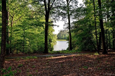 3000 Ponderosa Pine Ln, Quinton, VA 23141 - photo 5