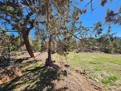 242 Fir Ave, Crawford, CO 81415 - photo 7