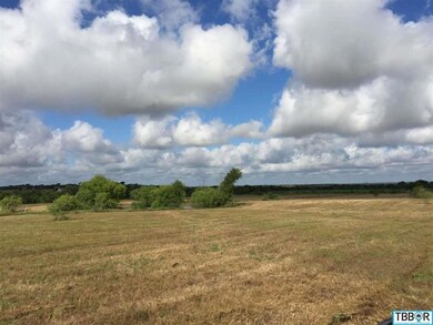 Hwy 317 Bell County Rural, Moody, TX 76557 - photo 6