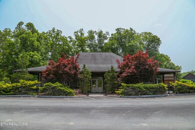 0 Blue Herring Way unit RTC3052483, Sevierville, TN 37876 - photo 5