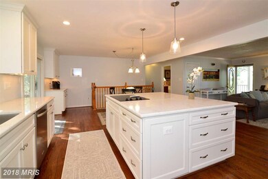 23394 New Mountain Rd, Aldie, VA 20105 - photo 4